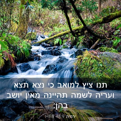 Picture 03 - ירמיה 48:9 HEB - תנו ציץ למואב כי נצא תצא - Bible Verse Picture