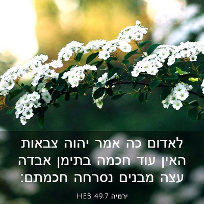 Picture 03 - ירמיה 49:7 HEB - לאדום כה אמר יהוה צבאות - Bible Verse Picture