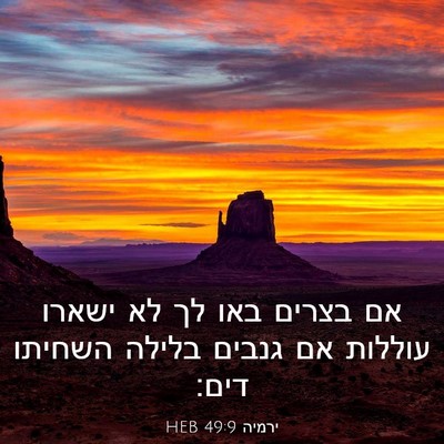 Picture 03 - ירמיה 49:9 HEB - אם בצרים באו לך לא ישארו - Bible Verse Picture
