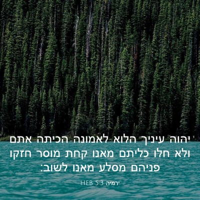 Picture 03 - ירמיה 5:3 HEB - יהוה עיניך הלוא לאמונה - Bible Verse Picture