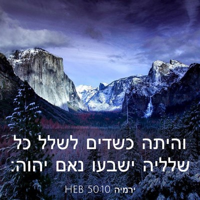 Picture 03 - ירמיה 50:10 HEB - והיתה כשדים לשלל כל שלליה - Bible Verse Picture