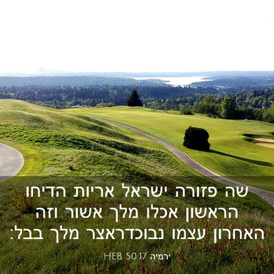 Picture 03 - ירמיה 50:17 HEB - שה פזורה ישראל אריות הדיחו - Bible Verse Picture