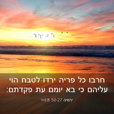 Picture 03 - ירמיה 50:27 HEB - חרבו כל פריה ירדו לטבח הוי - Bible Verse Picture
