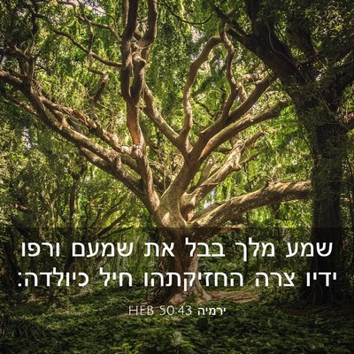 Picture 03 - ירמיה 50:43 HEB - שמע מלך בבל את שמעם ורפו - Bible Verse Picture