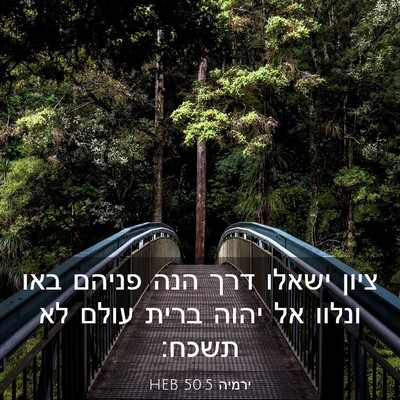 Picture 03 - ירמיה 50:5 HEB - ציון ישאלו דרך הנה פניהם - Bible Verse Picture