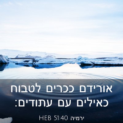 Picture 03 - ירמיה 51:40 HEB - אורידם ככרים לטבוח כאילים - Bible Verse Picture