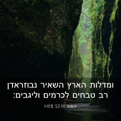 Picture 03 - ירמיה 52:16 HEB - ומדלות הארץ השאיר נבוזראדן - Bible Verse Picture