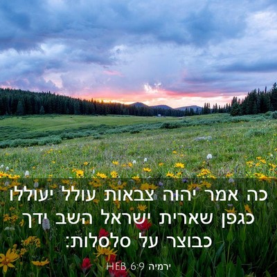 Picture 03 - ירמיה 6:9 HEB - כה אמר יהוה צבאות עולל - Bible Verse Picture