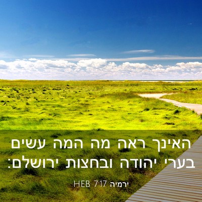Picture 03 - ירמיה 7:17 HEB - האינך ראה מה המה עשים בערי - Bible Verse Picture