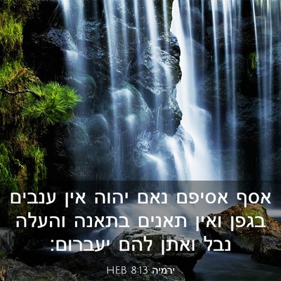 Picture 03 - ירמיה 8:13 HEB - אסף אסיפם נאם יהוה אין - Bible Verse Picture