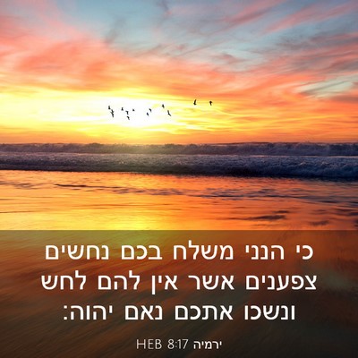 Picture 03 - ירמיה 8:17 HEB - כי הנני משלח בכם נחשים - Bible Verse Picture