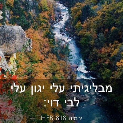 Picture 03 - ירמיה 8:18 HEB - מבליגיתי עלי יגון עלי לבי - Bible Verse Picture