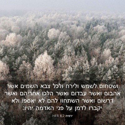 Picture 03 - ירמיה 8:2 HEB - ושטחום לשמש ולירח ולכל צבא - Bible Verse Picture