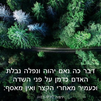 Picture 03 - ירמיה 9:22 HEB - דבר כה נאם יהוה ונפלה נבלת - Bible Verse Picture