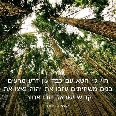 Picture 03 - ישעיה 1:4 HEB - הוי גוי חטא עם כבד עון זרע - Bible Verse Picture