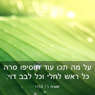 Picture 03 - ישעיה 1:5 HEB - על מה תכו עוד תוסיפו סרה כל - Bible Verse Picture