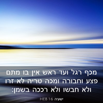 Picture 03 - ישעיה 1:6 HEB - מכף רגל ועד ראש אין בו מתם - Bible Verse Picture