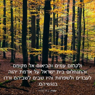 Picture 03 - ישעיה 14:2 HEB - ולקחום עמים והביאום אל - Bible Verse Picture