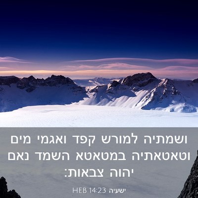 Picture 03 - ישעיה 14:23 HEB - ושמתיה למורש קפד ואגמי מים - Bible Verse Picture