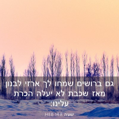 Picture 03 - ישעיה 14:8 HEB - גם ברושים שמחו לך ארזי - Bible Verse Picture
