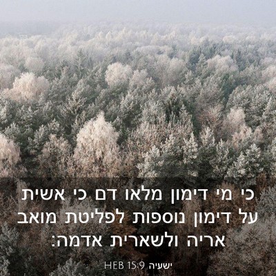 Picture 03 - ישעיה 15:9 HEB - כי מי דימון מלאו דם כי אשית - Bible Verse Picture