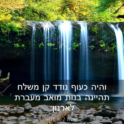 Picture 03 - ישעיה 16:2 HEB - והיה כעוף נודד קן משלח - Bible Verse Picture