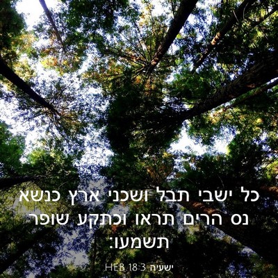 Picture 03 - ישעיה 18:3 HEB - כל ישבי תבל ושכני ארץ כנשא - Bible Verse Picture