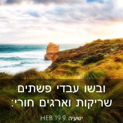 Picture 03 - ישעיה 19:9 HEB - ובשו עבדי פשתים שריקות - Bible Verse Picture