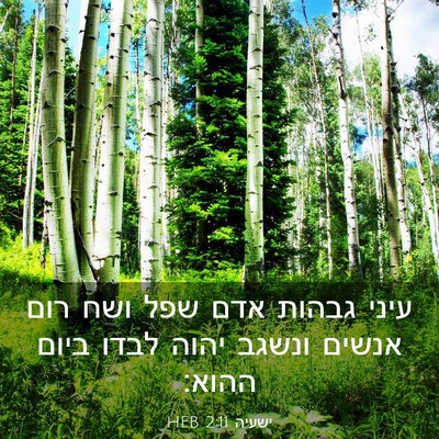 Picture 03 - ישעיה 2:11 HEB - עיני גבהות אדם שפל ושח רום - Bible Verse Picture