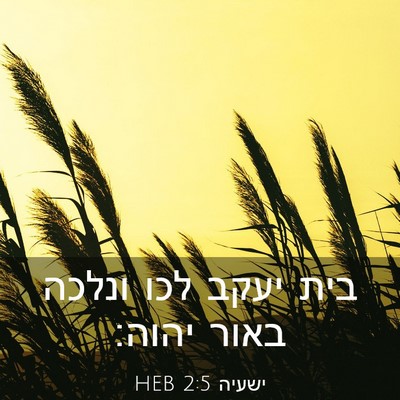 Picture 03 - ישעיה 2:5 HEB - בית יעקב לכו ונלכה באור - Bible Verse Picture