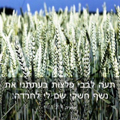 Picture 03 - ישעיה 21:4 HEB - תעה לבבי פלצות בעתתני את - Bible Verse Picture