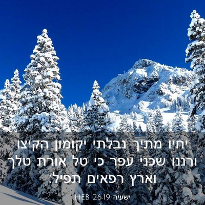 Picture 03 - ישעיה 26:19 HEB - יחיו מתיך נבלתי יקומון - Bible Verse Picture