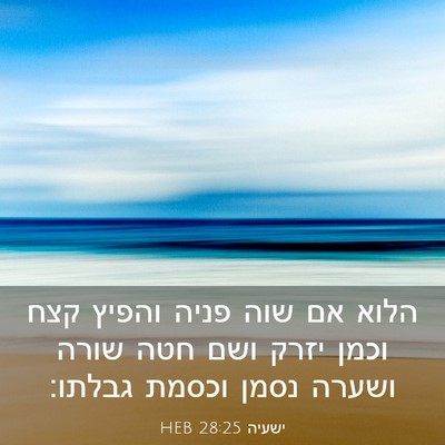 Picture 03 - ישעיה 28:25 HEB - הלוא אם שוה פניה והפיץ קצח - Bible Verse Picture
