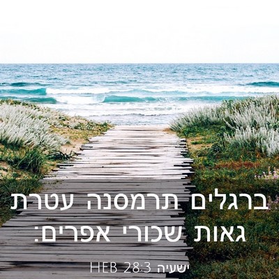 Picture 03 - ישעיה 28:3 HEB - ברגלים תרמסנה עטרת גאות - Bible Verse Picture