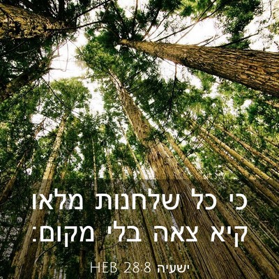 Picture 03 - ישעיה 28:8 HEB - כי כל שלחנות מלאו קיא צאה - Bible Verse Picture