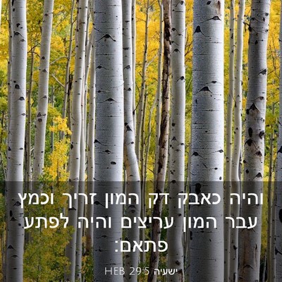 Picture 03 - ישעיה 29:5 HEB - והיה כאבק דק המון זריך וכמץ - Bible Verse Picture