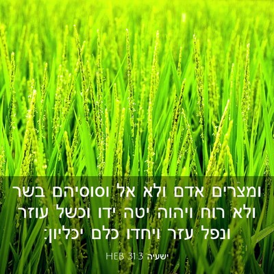 Picture 03 - ישעיה 31:3 HEB - ומצרים אדם ולא אל וסוסיהם - Bible Verse Picture
