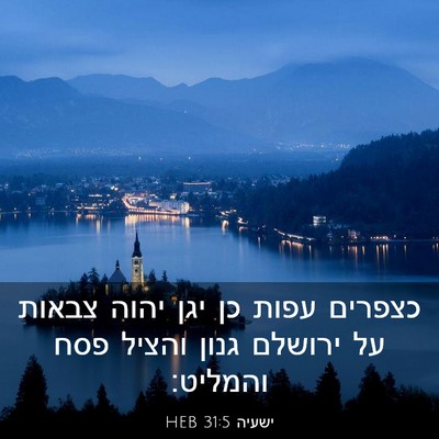 Picture 03 - ישעיה 31:5 HEB - כצפרים עפות כן יגן יהוה - Bible Verse Picture