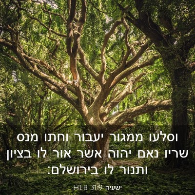 Picture 03 - ישעיה 31:9 HEB - וסלעו ממגור יעבור וחתו מנס - Bible Verse Picture