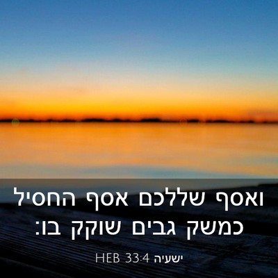 Picture 03 - ישעיה 33:4 HEB - ואסף שללכם אסף החסיל כמשק - Bible Verse Picture