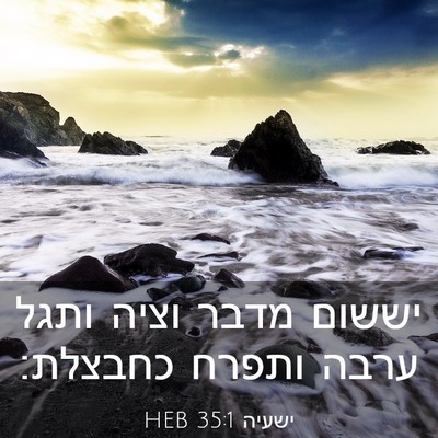 Picture 03 - ישעיה 35:1 HEB - יששום מדבר וציה ותגל ערבה - Bible Verse Picture