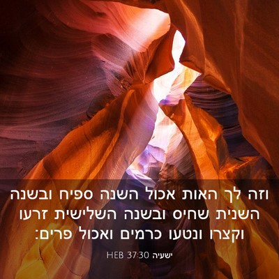 Picture 03 - ישעיה 37:30 HEB - וזה לך האות אכול השנה ספיח - Bible Verse Picture