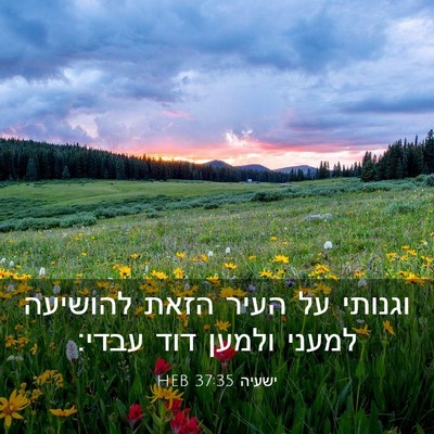 Picture 03 - ישעיה 37:35 HEB - וגנותי על העיר הזאת - Bible Verse Picture