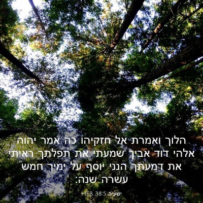 Picture 03 - ישעיה 38:5 HEB - הלוך ואמרת אל חזקיהו כה אמר - Bible Verse Picture