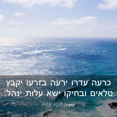 Picture 03 - ישעיה 40:11 HEB - כרעה עדרו ירעה בזרעו יקבץ - Bible Verse Picture