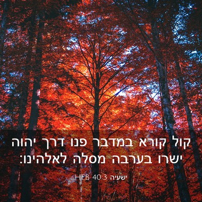Picture 03 - ישעיה 40:3 HEB - קול קורא במדבר פנו דרך יהוה - Bible Verse Picture