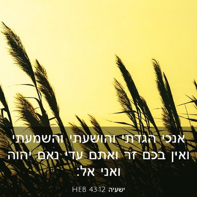 Picture 03 - ישעיה 43:12 HEB - אנכי הגדתי והושעתי והשמעתי - Bible Verse Picture