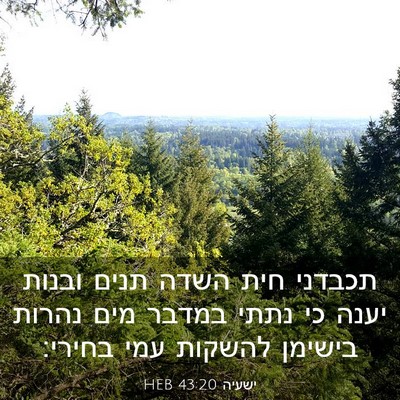 Picture 03 - ישעיה 43:20 HEB - תכבדני חית השדה תנים ובנות - Bible Verse Picture