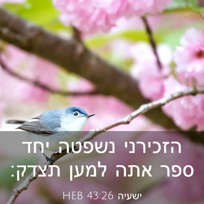 Picture 03 - ישעיה 43:26 HEB - הזכירני נשפטה יחד ספר אתה - Bible Verse Picture