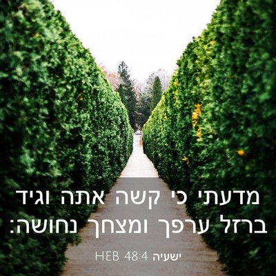 Picture 03 - ישעיה 48:4 HEB - מדעתי כי קשה אתה וגיד ברזל - Bible Verse Picture